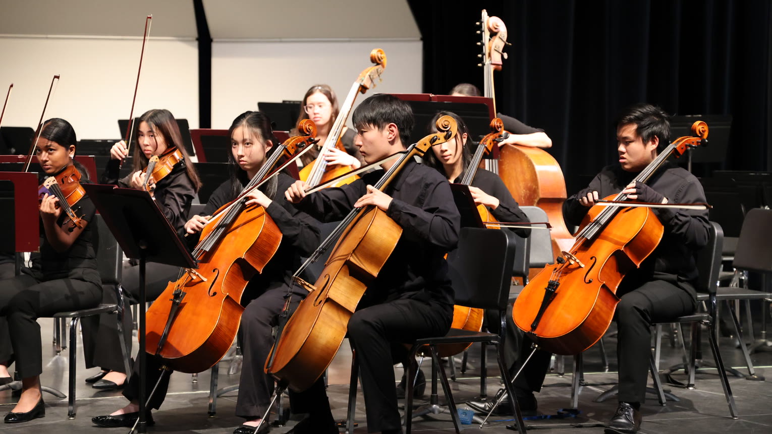 The cello section at the fall orchestras concert