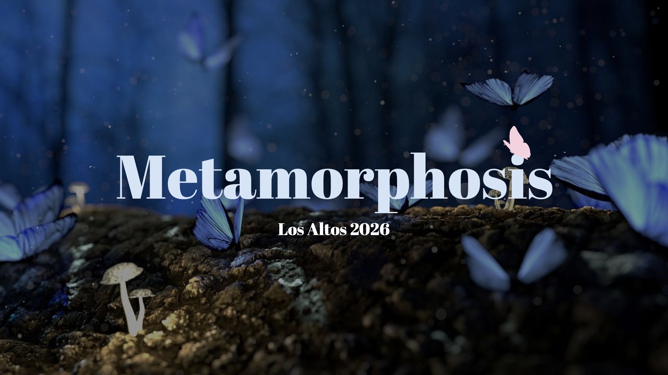 Metamorphosis — Los Altos 2026
